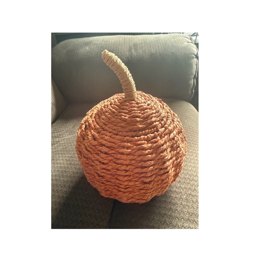 Handcrafted Orange Woven Pumpkin Decor